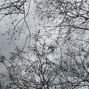 Meet your Posher, Marli